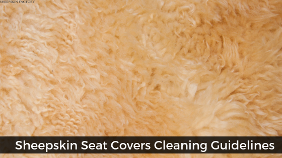 How to clean a sheepskin? Read our guide here ➤