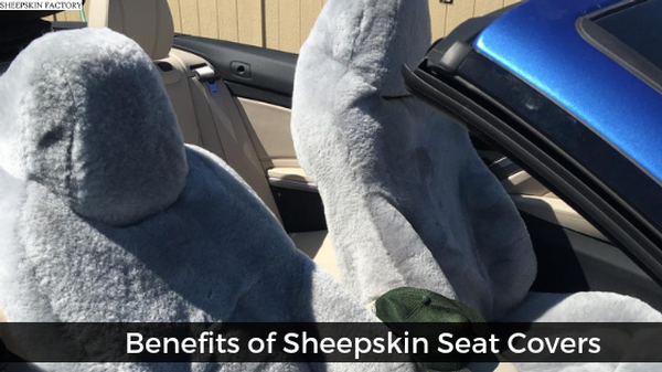 https://sheepskinfactory.com/userfiles/1056/images/benefits-of-sheepskin-seat-covers.png